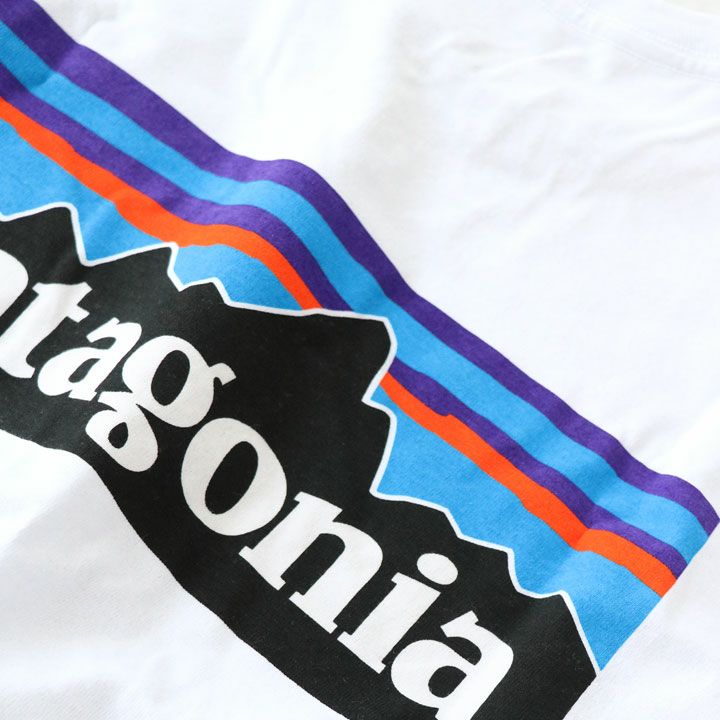 patagonia(パタゴニア) メンズ・ロングスリーブ・P-6ロゴ・レスポン