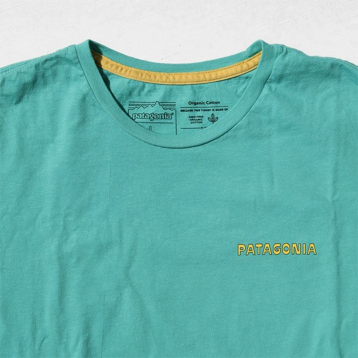 patagonia(パタゴニア) メンズ・サミット・スウェル・オーガニック・T