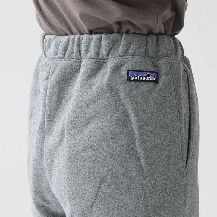 patagonia(パタゴニア) メンズ・フィッツロイ・アイコン・アップライザ