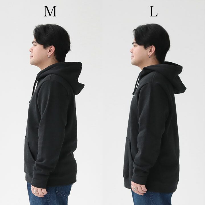 patagonia パタゴニア｜フィッツロイ・アイコン・アップライザル