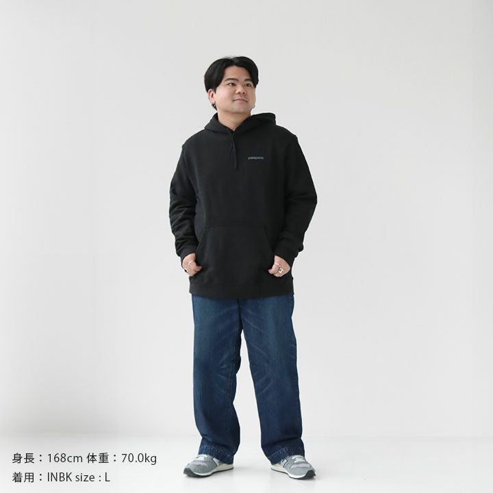 patagonia パタゴニア｜フィッツロイ・アイコン・アップライザル