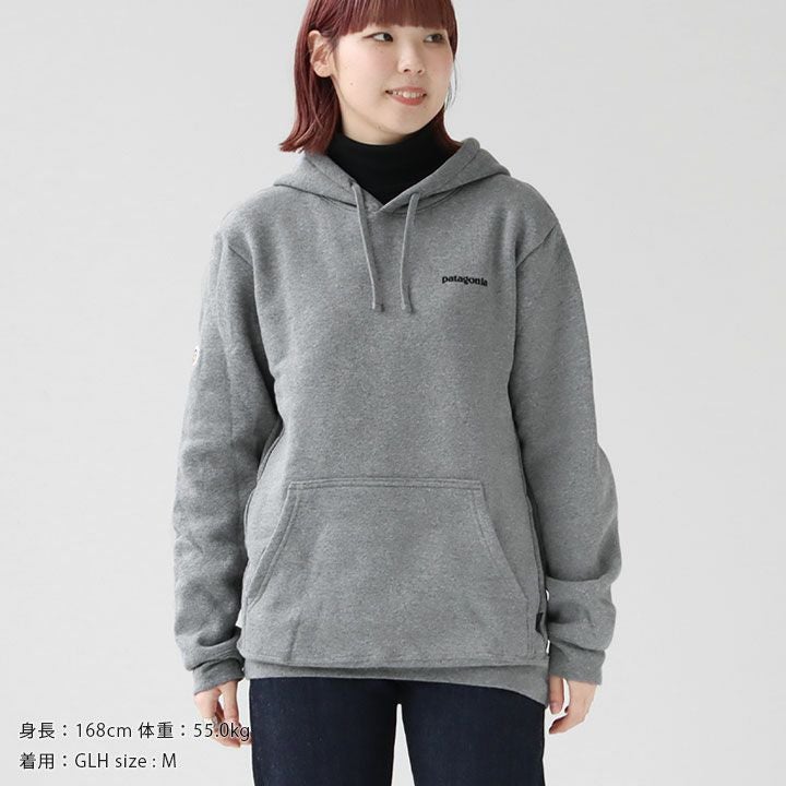 patagonia パタゴニア｜フィッツロイ・アイコン・アップライザル