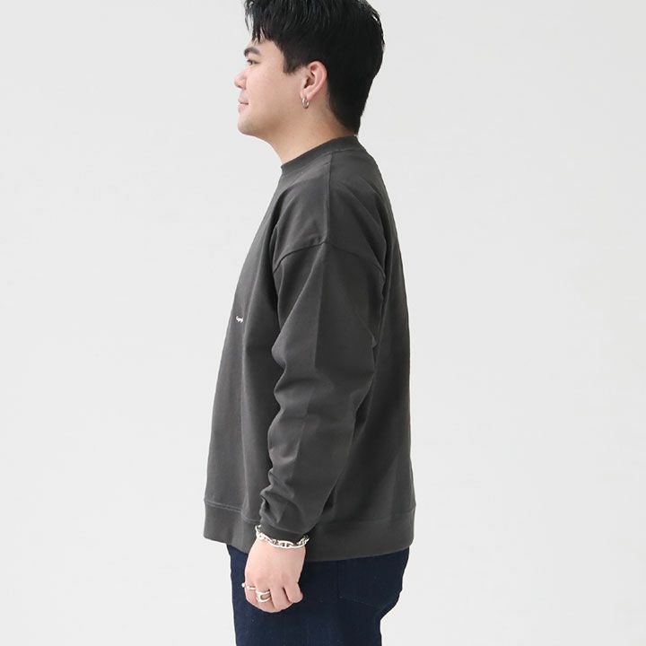 GYMPHLEX(ジムフレックス) クルーネック長袖Tシャツ メンズ(GY