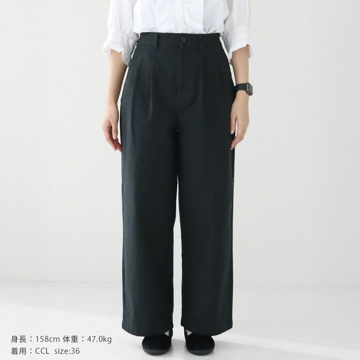 DANTON(ダントン) 2タックワイドパンツ(DT-E0252ASI)の通販｜NEWS