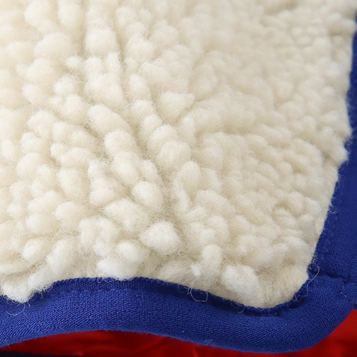 patagonia パタゴニア｜キッズ・レトロX・ベスト 65614の通販｜NEWS