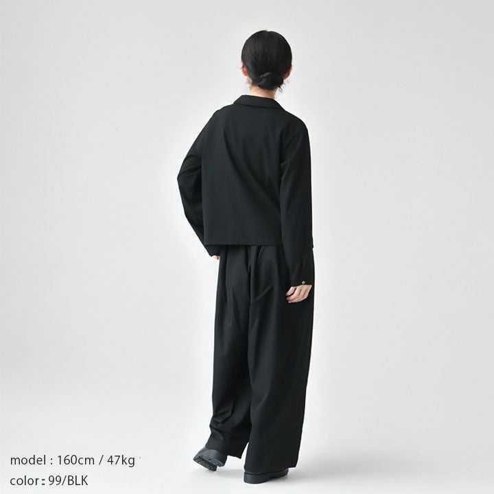 mizuiro ind ミズイロインド｜T/Rベーシックシャツ 3-230096の通販